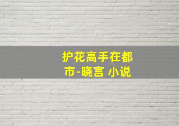 护花高手在都市-晓言 小说